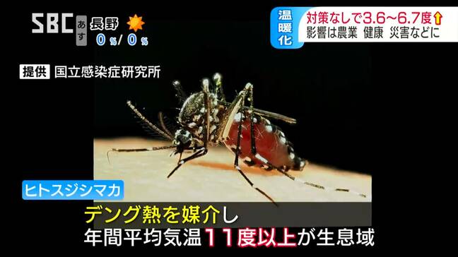 止まらぬ温暖化で信州もデング熱媒介のヤブ蚊の生息域になる可能性も コメ、リンゴ農家も迫られる変化と対応 一方で遅霜の危険度も増える現状に品種改良の現場は…|TBS NEWS DIG