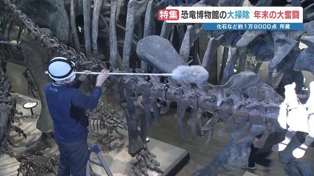「これが恐竜の目線か」博物館の大掃除に密着　骨格標本もスッキリ？　熊本県・御船町恐竜博物館|TBS NEWS DIG