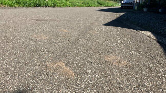 クマの人的被害から一夜明け 夏休み明けの小学校の校長「しばらく保護者送迎の登下校を継続したい」 青森県弘前市|TBS NEWS DIG