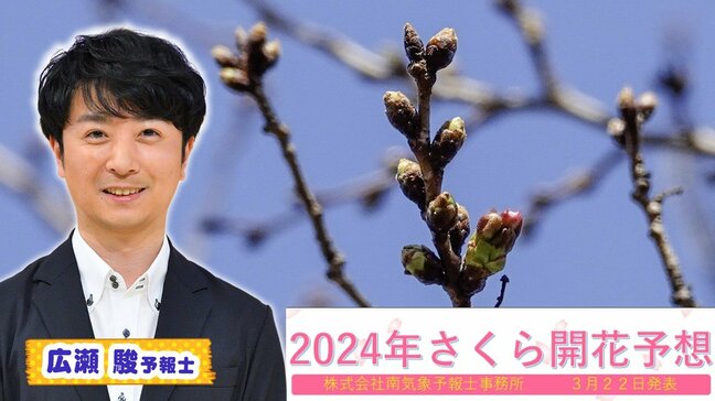【最新さくら開花予想】想定以上に今年はのんびり屋さん!近畿で最も早いのは大阪・京都『25日予想』 見頃ものんびり長続きするかも?【MBSお天気通信】|TBS NEWS DIG