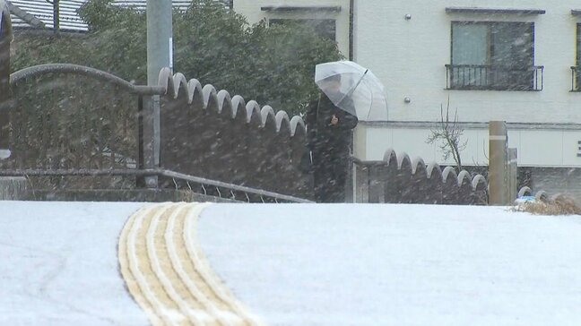 大分市で初雪を観測　山間部は積雪、湯布院でマイナス2.2度の厳しい冷え込み|TBS NEWS DIG