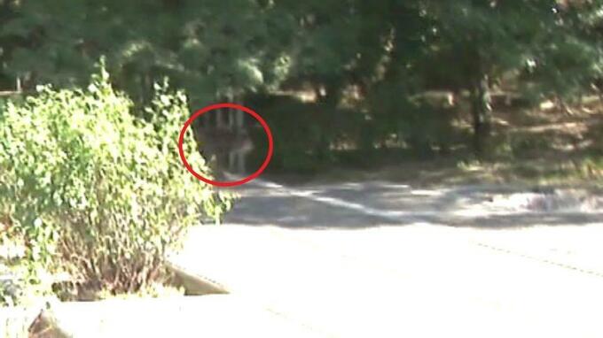 「街中なのに、意外…」松山城の二之丸史跡庭園にサルが出没 注意を!　|　愛媛のニュース - Nスタえひめ｜あいテレビは6チャンネル
