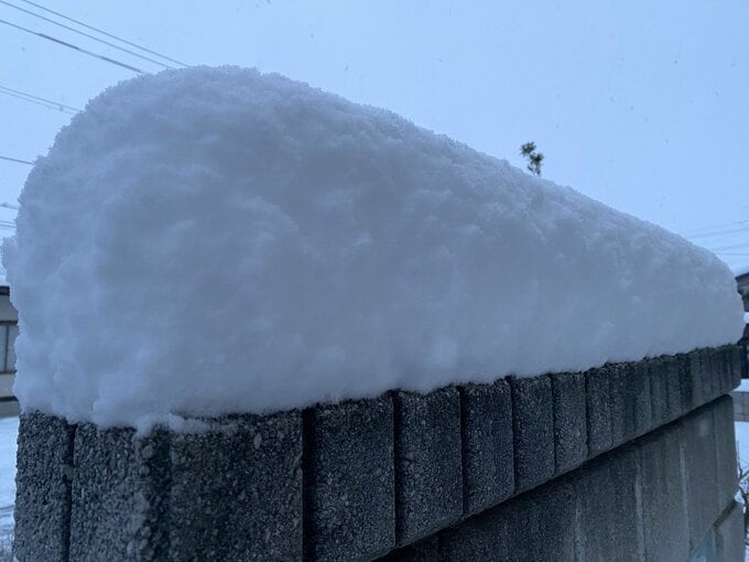 大雪情報　今後は冬型が緩む予報に　しかしきょうは各地で大雪か　東北で50センチ、関東甲信で40センチなど各地で雪　気象庁　|　山形のニュース│TUYテレビユー山形