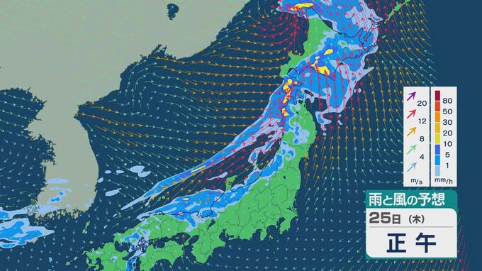 低気圧が日本海を進み前線の影響で北陸など日本海側では25日(水)は雨脚強まる天気に 低気圧中心の北海道では雨風ともに激しく  雨と風シミュレーション|TBS NEWS DIG