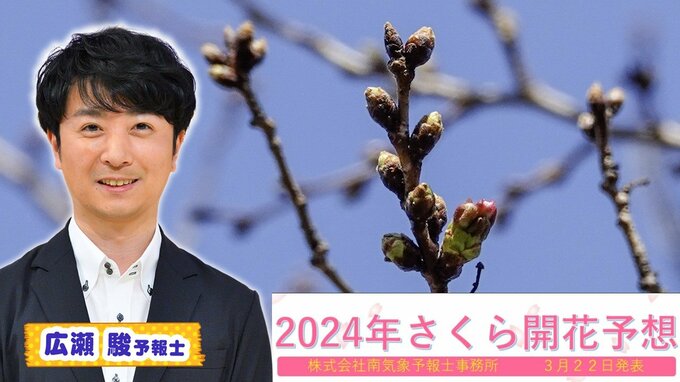 【最新さくら開花予想】想定以上に今年はのんびり屋さん！近畿で最も早いのは大阪・京都『25日予想』　見頃ものんびり長続きするかも？【MBSお天気通信】|TBS NEWS DIG