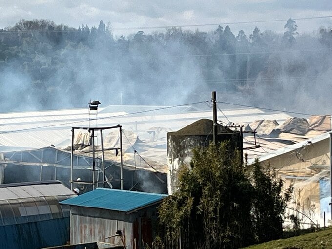卵のふ化場で火災　鶏舎数棟が全焼か…数千羽飼育の情報も　福島・郡山市　|　福島のニュース│TUF