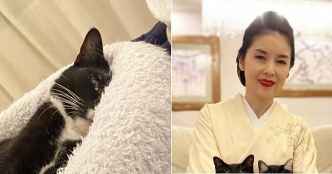 【藤あや子】愛猫マルが ”ホラーな目つき” フォロワー共感の嵐で猫写真投げ合い|TBS NEWS DIG
