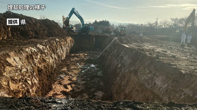 ニワトリ約56万羽のうち9％の処分終了　高病原性鳥インフルエンザ確認された養鶏場　建設業協会や民間団体も防疫措置に協力　延べ354人が従事　岩手・金ケ崎町|TBS NEWS DIG