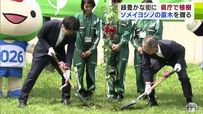 青森トヨペットが青森県に「ソメイヨシノ」の苗木を贈る　県庁で植樹　|　青森のニュース│ATV NEWS│青森テレビ