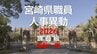 【一覧あり】宮崎県職員　人事異動2026　課長級　|　MRTニュース ｜ ＭＲＴ宮崎放送