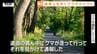 【動画】カメラが "道路上を歩くクマ" を捉えた！　民家の近くで撮影　連日住宅街などでクマの目撃相次ぐ（山形）　|　山形のニュース│TUYテレビユー山形