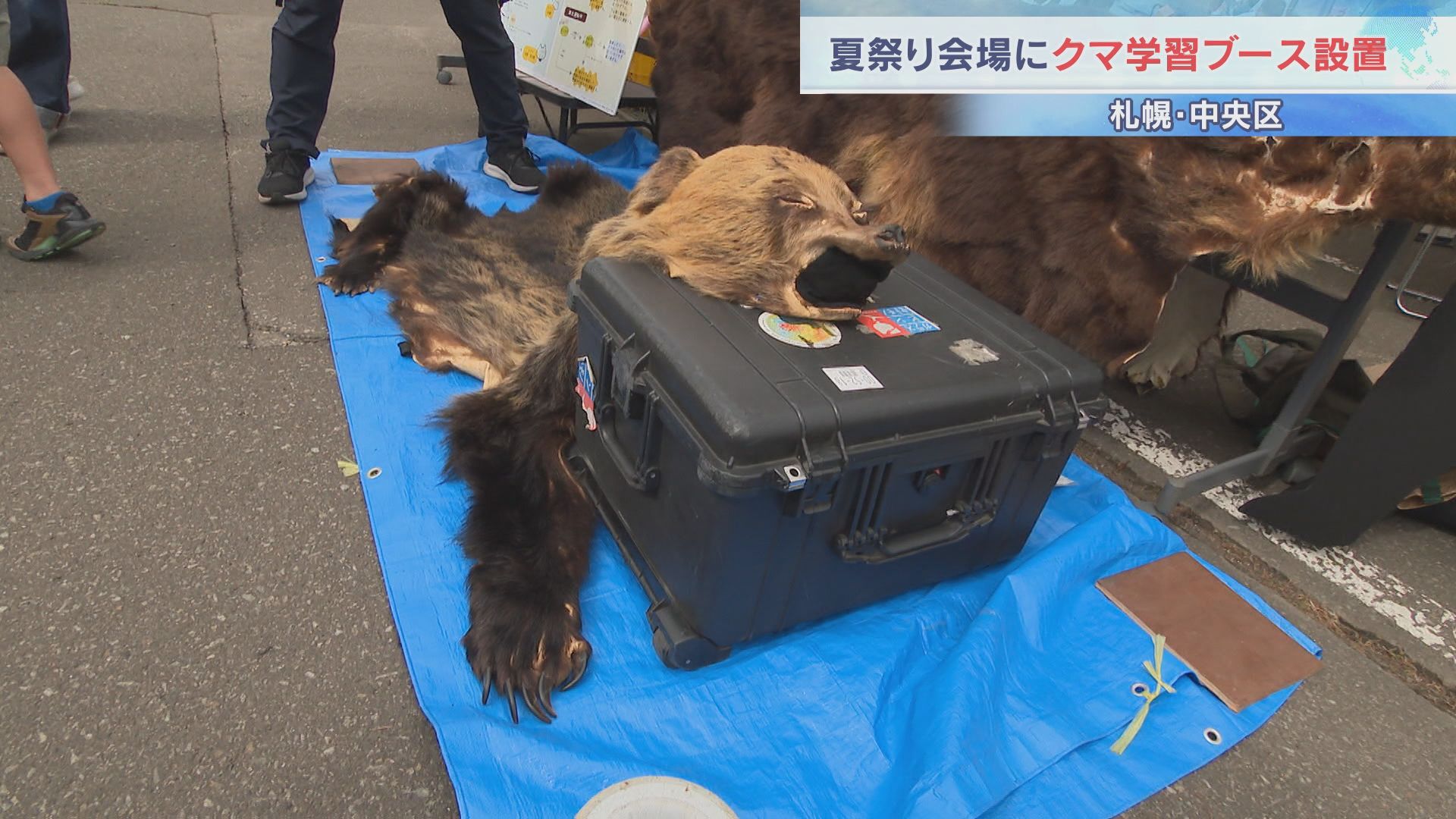 くまっち様確認専用ページ【取り置き中　4月6日迄】 夏祭り会場にクマ学習ブース設置 札幌・円山西町内会「クマに強い地域