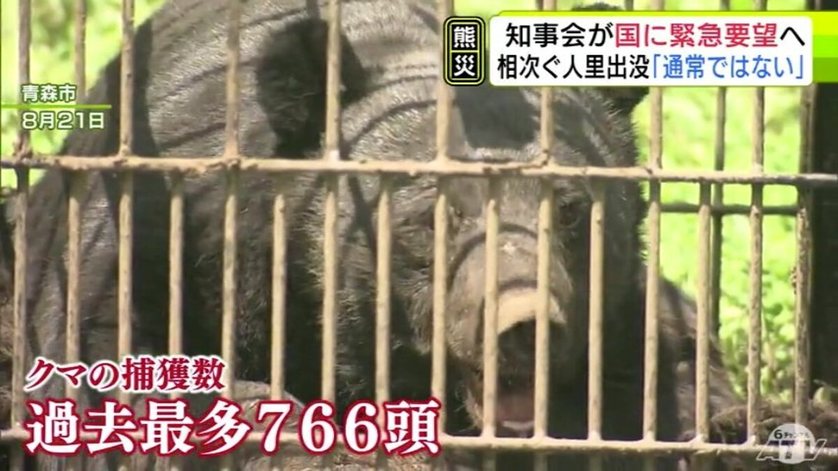 通常ではないことが東北・北海道の中で起こっている」相次ぐクマの出没