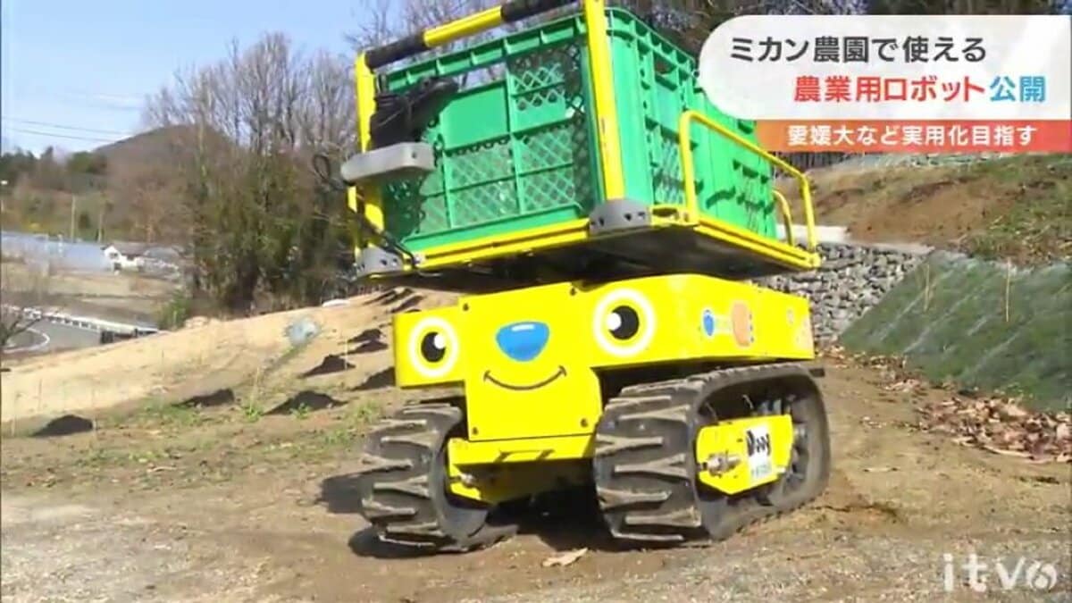 人の後ろを付いて回る自立走行型も！ミカン農園で使える農業用ロボット