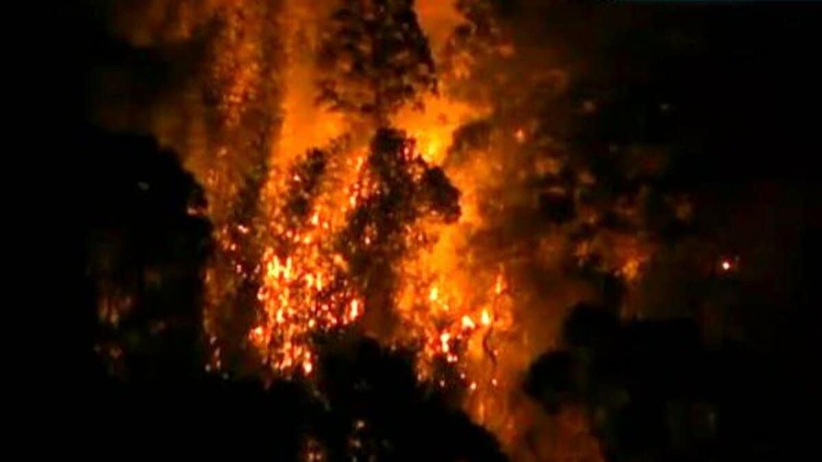 高知・土佐市の山林火災「鎮圧に向かっている」⋯発生から5時間以上