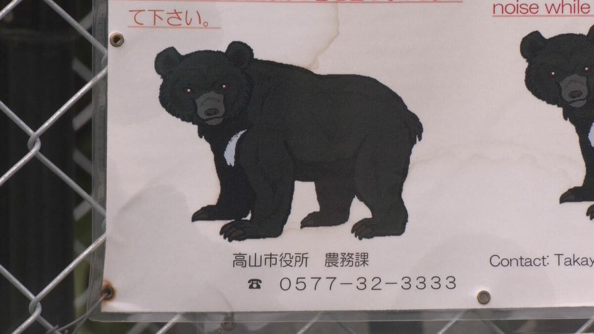 ｢仰向けで倒れたところガブガブと…｣ 岐阜･高山市でランニング中の男性がクマに襲われケガ 東海地方で今年度初めてのクマ被害 