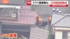クマ1頭捕獲も“別のクマ出没の可能性”&nbsp;宇都宮市は3日間程度&nbsp;警戒続ける　市立小中学校あすも休校|TBS NEWS DIG