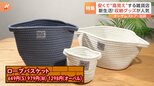 【オーサムストア】&【212キッチンストア】お客さん100人に聞いた!コスパ抜群、アイディア満載!新生活の便利グッズ|TBS NEWS DIG