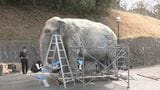 去年7月に天国へ 多くの人に愛されたアジアゾウ｢ふじ子｣ 地元高校生が実物大の像を制作 4月12日の“ふじ子の生誕祭”でお披露目 愛知･岡崎市|TBS NEWS DIG