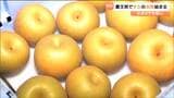 「小ぶりだが甘い」秋の味覚ナシの出荷始まる 高温と少雨でサイズは小さめでも「糖度は十分のっている」 宮城・蔵王町 | 宮城のニュース│tbc NEWS│tbc東北放送