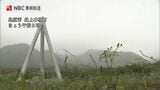雲仙普賢岳 大火砕流から34年 発生時刻に黙とう | 長崎のニュース | 天気 | NBC長崎放送