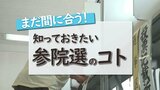 まだ間に合う!知っておきたい「参議院選挙のコト」【投票所で…写真や動画を撮るのは?・ボールペンを持ち込むのは?・誰かに相談してもいい?】|TBS NEWS DIG