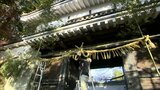 旧・飫肥藩主伊東家ゆかりの門松としめ縄 日南市・飫肥城で飾り付け|TBS NEWS DIG