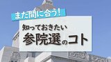 まだ間に合う!知っておきたい「参議院選挙のコト」【そもそも参議院って?・議員はどう決めるの?・参議院の比例代表って?】|TBS NEWS DIG