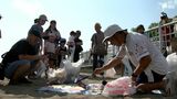 「地球温暖化を体で感じ何をしなければいけないか自ら気づいて」 海岸でのごみ拾いなど 親子で環境問題を考える=静岡・熱海市 | 静岡のニュース | SBSNEWS | 静岡放送