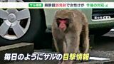 「申し訳ない 1日も早い回復を」市長が麻酔銃の誤発射を謝罪…サルの目撃情報いまも相次ぐー静岡・富士市|TBS NEWS DIG