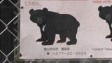 「仰向けで倒れたところガブガブと…」 岐阜・高山市でランニング中の男性がクマに襲われケガ 東海地方で今年度初めてのクマ被害 |TBS NEWS DIG