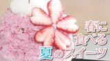 注目スイーツは春に食べる「かき氷」 “桜ほっぺ”や“紅ほっぺ” 全国のスイーツが集まったイベント 広島市のデパートで始まる|TBS NEWS DIG