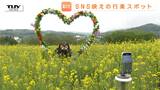 GWのお出かけ情報　菜の花畑の映えスポットに注目「ヴェンテンガルテン」で春をめいっぱい楽しもう（山形・上山市）　|　山形のニュース│TUYテレビユー山形