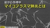 夏から急増中「マイコプラズマ肺炎」 別名は “オリンピック肺炎”　４年に一度の開催年に流行する傾向　インフルエンザと同じ５類感染症　感染予防対策は　|　RCC NEWS | 広島ニュース | RCC中国放送