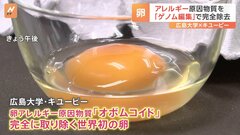 「人によってはTKGも食べられる」卵アレルゲンなくした“世界初の卵”発表　遺伝子操作の最新技術「ゲノム編集」| TBS CROSS DIG with Bloomberg