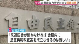 終盤国会で与野党にらみ合いの膠着状態続く　皇室典範改正案の会期内成立は「難しい」自民党幹部が見通し|TBS NEWS DIG