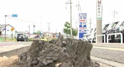 旧ビッグモーター」松本店の街路樹枯死問題…容疑者不詳のまま器物損壊