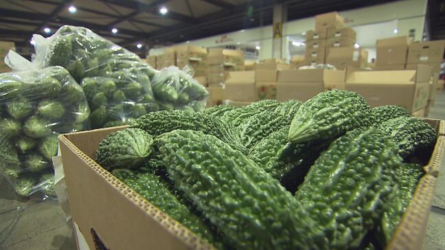 5月8日は「ゴーヤーの日」 旬入りを宣言|TBS NEWS DIG