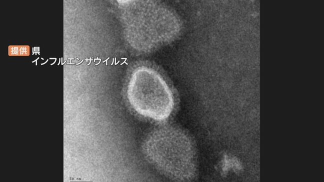 インフルエンザ患者増加 流行期入りの目安を早くも超える 県「局所的な流行か見極めたい」大分|TBS NEWS DIG