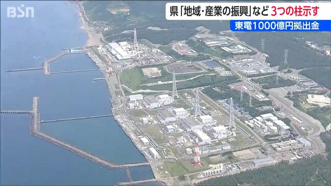 東京電力の拠出金1000億円の使い道『産業振興 防災対策 電気代補助』新潟県が示した3つの柱|TBS NEWS DIG