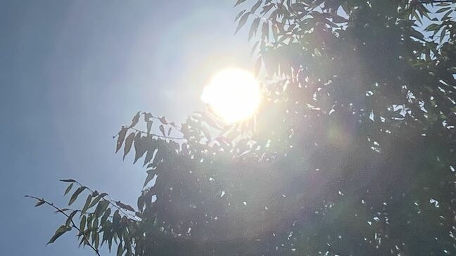 北日本は９月２日にかけ　東日本と西日本は５日頃にかけて　35度以上の猛暑日となる所が　熱中症に注意を　【39度のところも　各地の2週間気温予報】|TBS NEWS DIG