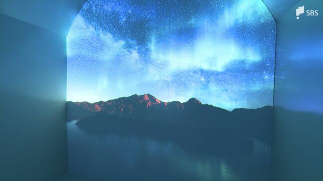 「花・鳥・映像」の施設へ 人気の掛川花鳥園に新しい体験型スポット“夢のトンネル”登場「ハシビロコウの森」以来10年ぶり=静岡|TBS NEWS DIG