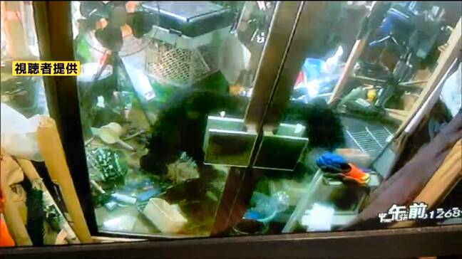 最後の1羽まで...クマに飼育していた鳥13羽すべて食べられる 玄関先で静かな食事 宮城・加美町|TBS NEWS DIG