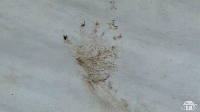 リンゴ畑で作業中に後ろからクマが…　50代男性が襲われけが　一夜明けて町は被害のあった現場近くをパトロール・注意呼びかける　青森県藤崎町|TBS NEWS DIG