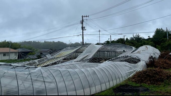 「何かにつかまっていないと飛ばされそうだった」ぐにゃりと曲がり骨組みがむき出しに…高知県で突風か、ビニールハウス倒壊や住宅の屋根がはがれる被害|TBS NEWS DIG