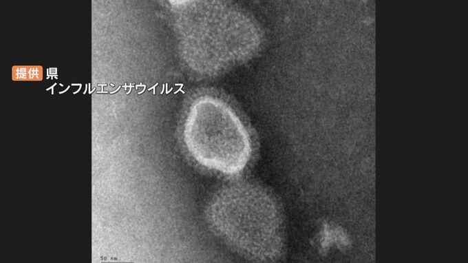 インフルエンザ患者増加　流行期入りの目安を早くも超える　県「局所的な流行か見極めたい」大分|TBS NEWS DIG
