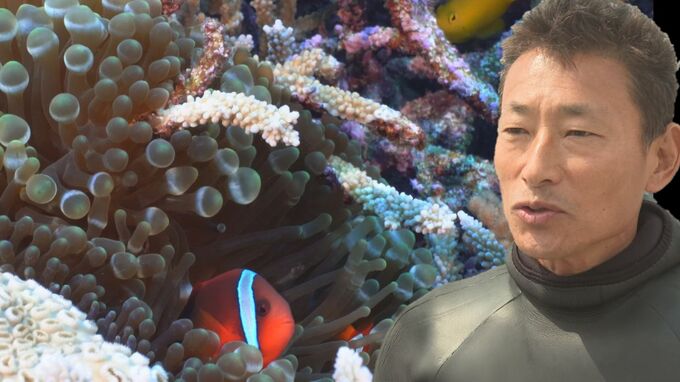 「死の海、墓場化した海へ危機感」辺野古移設工事進む大浦湾　サンゴ見つめてきたダイバーの思い　|　沖縄のニュース｜RBC 琉球放送
