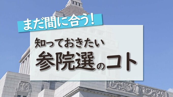 まだ間に合う！知っておきたい「参議院選挙のコト」【そもそも参議院って？・議員はどう決めるの？・参議院の比例代表って？】|TBS NEWS DIG