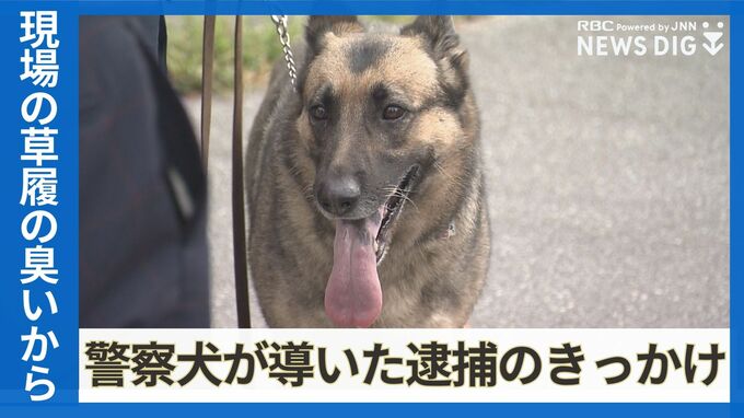 女性に拳銃を突き付け「金を出せ」、現金を奪った強盗事件　容疑者逮捕の裏には“現場に残った草履”から逃走経路を発見した警察犬の存在　|　沖縄のニュース｜RBC 琉球放送