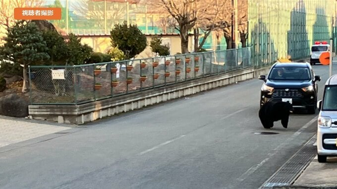 中学校敷地内に入っていくクマの目撃も　けさ山形市街地でクマの目撃相次ぐ　|　山形のニュース│TUYテレビユー山形